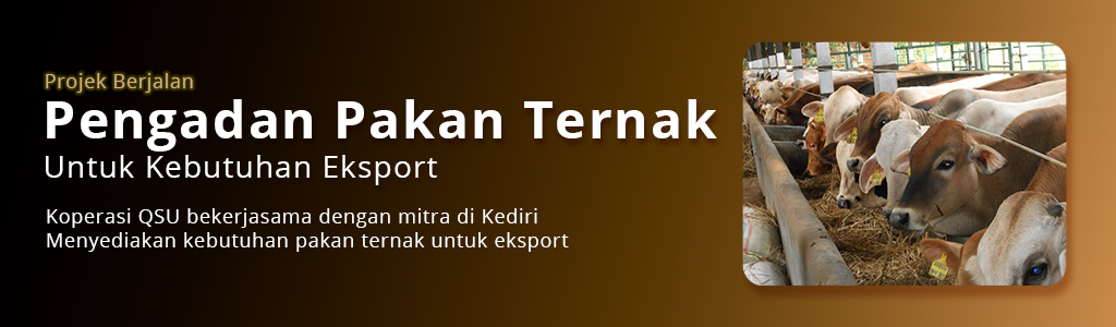projek